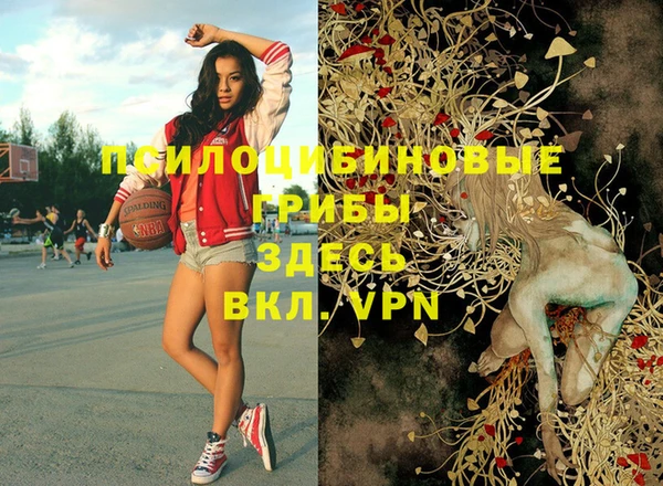 apvp Коряжма